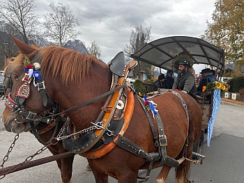VTV 'Die Werdenferlser' - Leonhardifahrt 2025